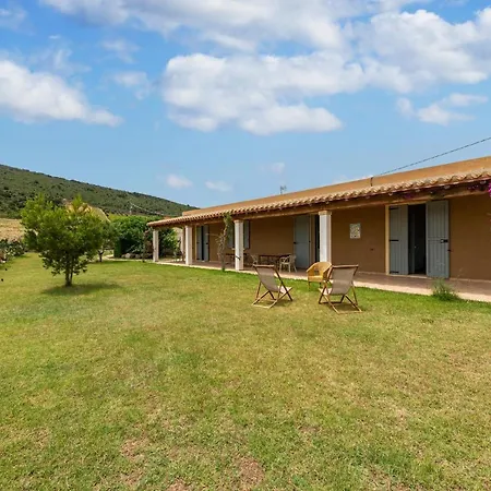 Le Vigne